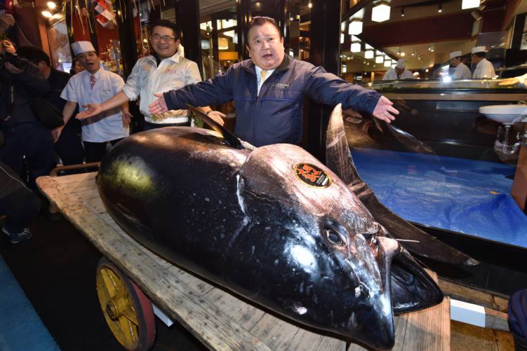 ตลาดปลาโทโยสุประมูลทูน่ารับปีใหม่เป็นครั้งแรก