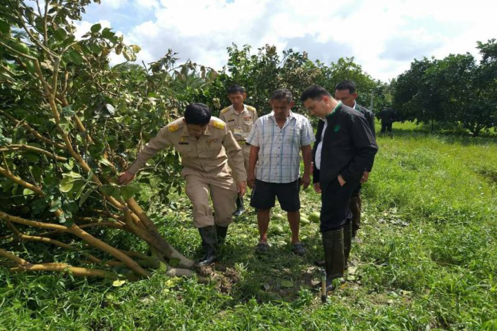 'กฤษฏา'สั่งทุกกรมช่วยเหยื่อปาบึก เร่งฟื้นฟูอาชีพ-พื้นที่เกษตร