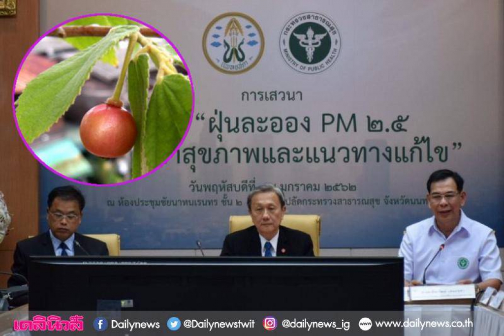 นายกแพทยสภาแนะปลูกไม้ 'ตะขบ'ใบมีขนดักจับPM2.5