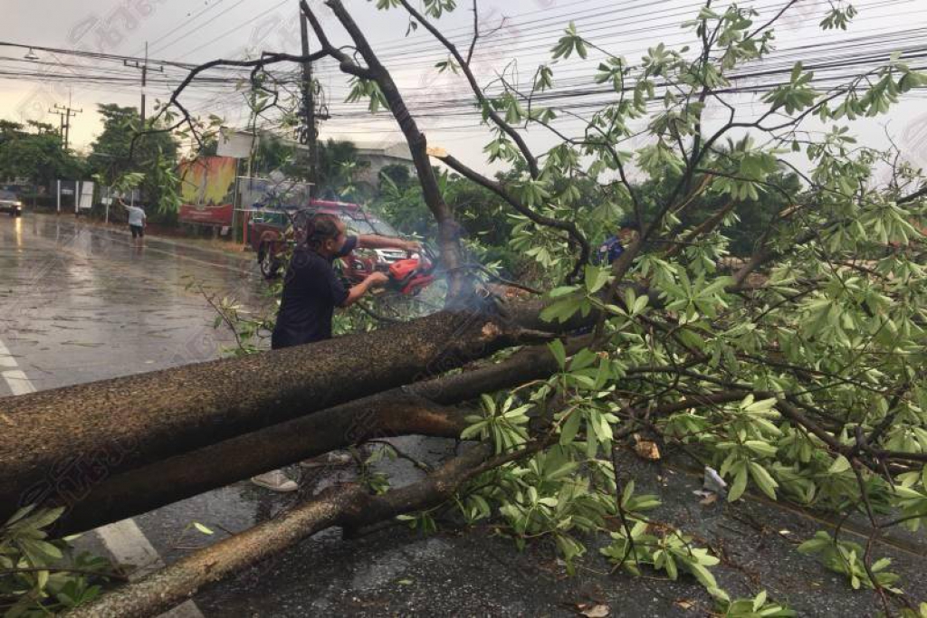 เตือนระวังฝนตกหนักลมแรง อยู่ห่างป้าย-ต้นไม้ใหญ่