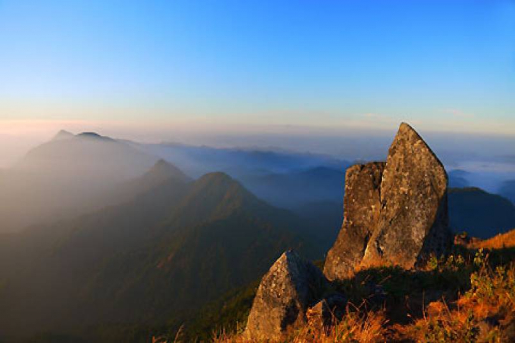 ปิดเที่ยวยอดเขา'โมโกจู' หวั่นเกิดไฟป่า-ฟื้นระบบนิเวศ 