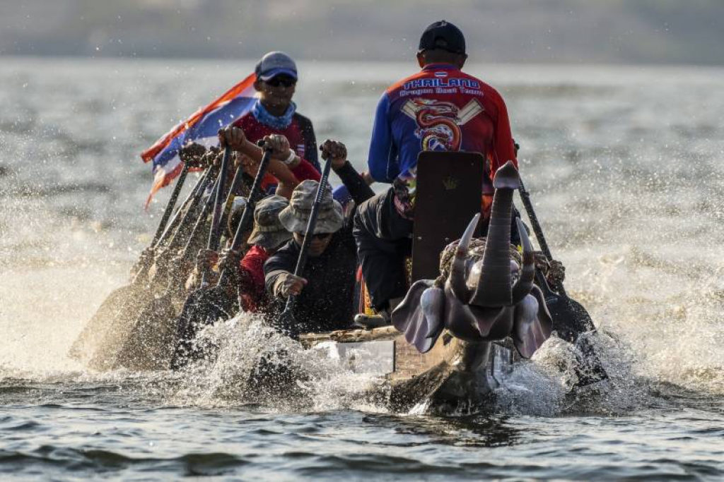 อนันตราจัดแข่งเรือเอเชียช่วยช้างไทย