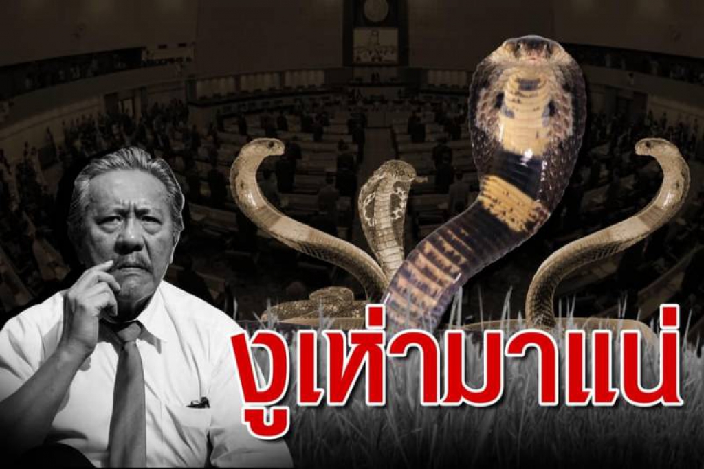 'ชูวิทย์'วิเคราะห์สูตรตั้งรัฐบาล 'ภท.'ตัวแปร-ชี้งูเห่ามาแน่