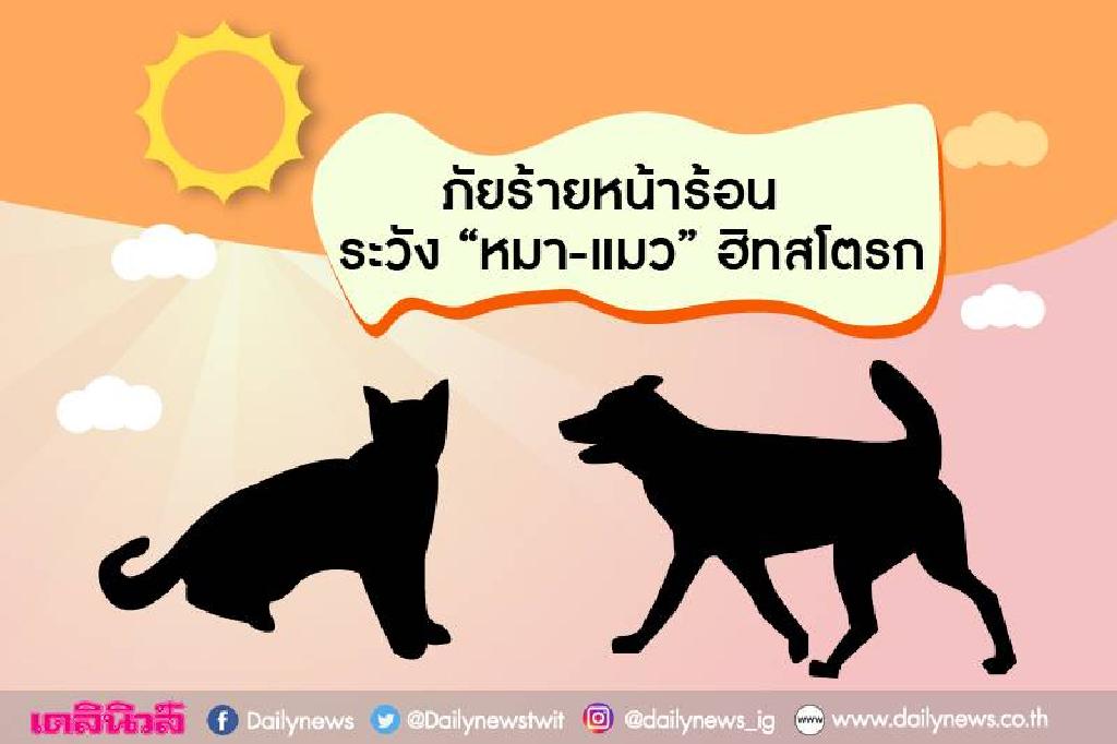 ไม่อยากเศร้าสัตว์แสนรักจากไป รู้ปลอดภัย'ฮีทสโตรก'