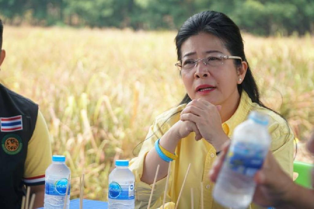 "หญิงหน่อย"ยังไม่คุย"อนุทิน"ดันนั่งนายกฯ รอดูท่าทีพรรคขนาดกลางก่อน