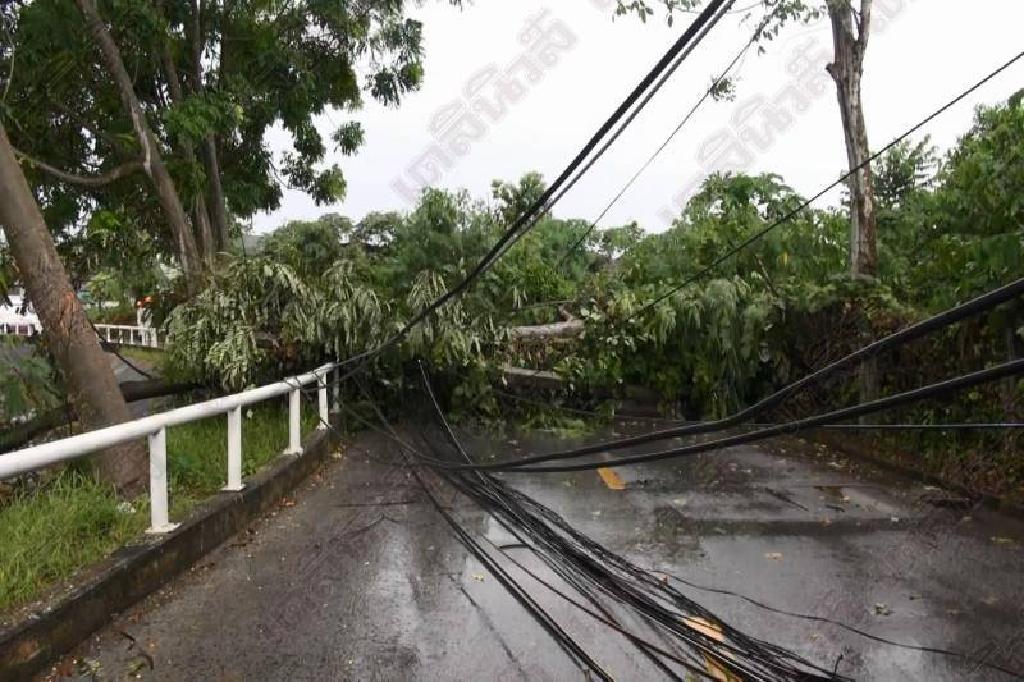 'เหนือ-อีสาน-ตอ.-กลาง-ใต้'ฟ้าคะนอง ระวังฝนถล่มหนัก