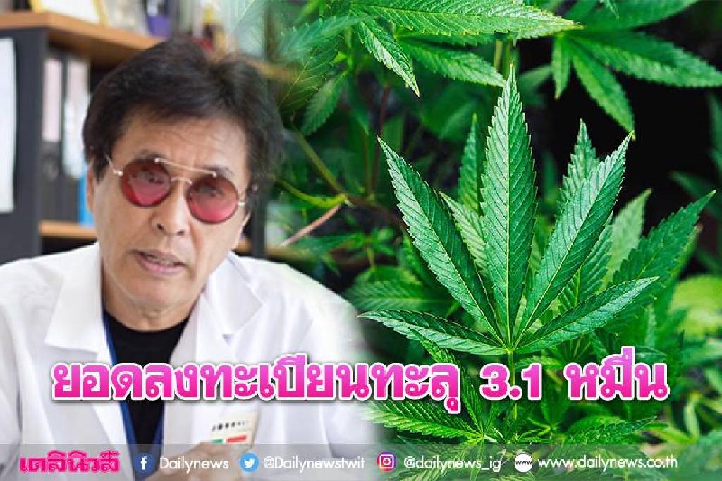 สิ้นสุดลงทะเบียน! ยอดครอบครองกัญชาทะลุ3.1หมื่น