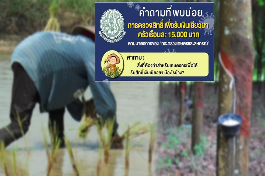 คำถามยอดฮิต ตรวจสิทธิเกษตรกร รับ 15,000 แนะชาวสวนยาง รีบปรับปรุง ขึ้นทะเบียน
