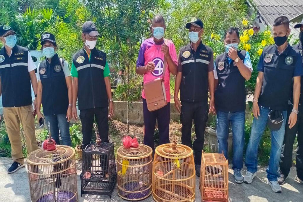 คาหนังเคาเขา! ปทส.พัทลุง บุกจับอดีตทหาร วัย 61 ลอบขายนกสัตว์ป่าสงวน ขณะนำใส่ลัง