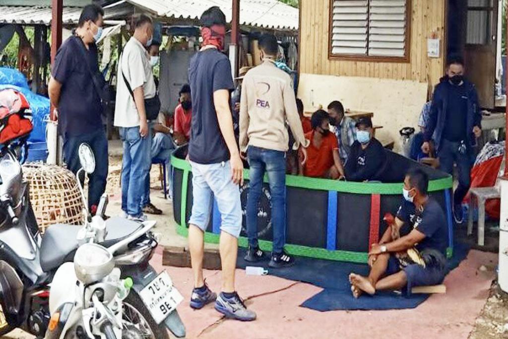 สืบ 8 ผนึกกำลังทุ่งครุ จับคนลักลอบการพนันชนไก่ มั่วสุมเสี่ยงโควิดระบาด