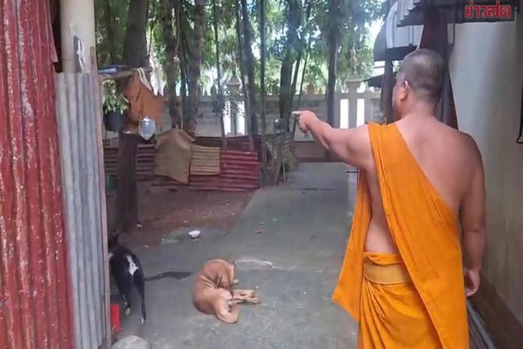 พระมหาเข่าทรุด! โจรงัดกุฏิลักเงินเก็บทั้งชีวิตเฉียดล้าน แจงเหตุไม่ฝากธนาคาร