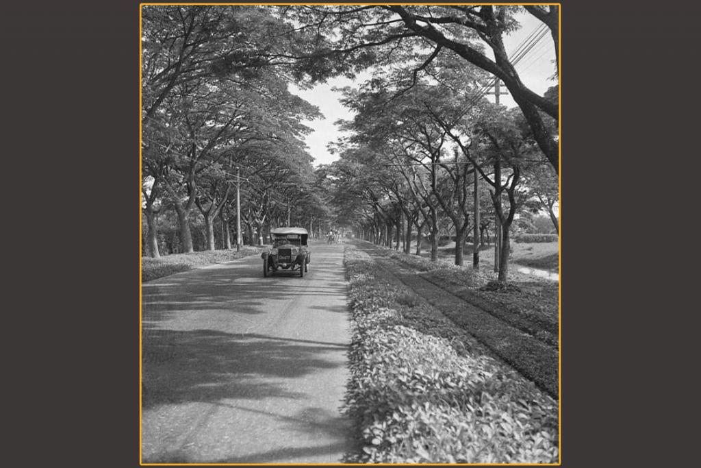 ภาพเก่าเล่าอดีต ถนนราชดำริห์ ฝั่งสนามม้าราชกรีฑาสโมสร เมื่อ ปี ค.ศ. 1935