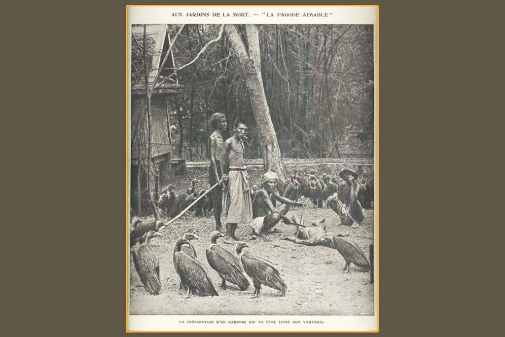 ภาพเก่าเล่าอดีต "แร้งวัดสระเกศ เปรตวัดสุทัศน์ฯ"