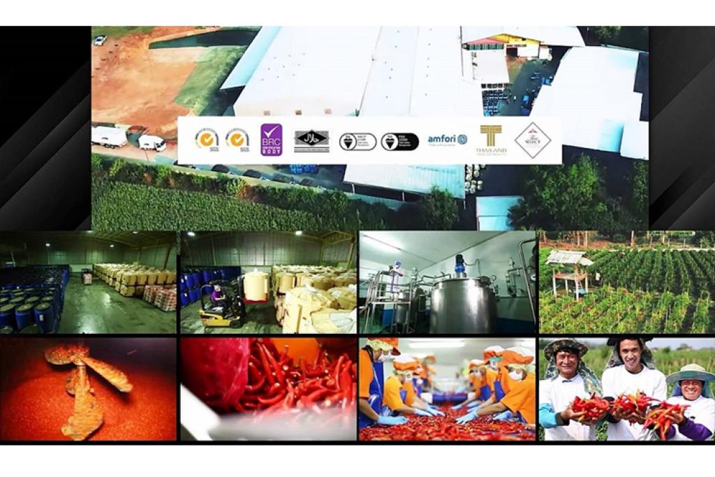 &ldquo;เคนโด้&rdquo;ผงาดขึ้นแท่น "เจ้าพ่อพริก" ผนึกกำลัง "De Smit Food International" ลุยตลาดแปรรูปส่งออกทั่วโลก ชูกำลังผลิต 40 ล้านกิโลกรัมต่อปี